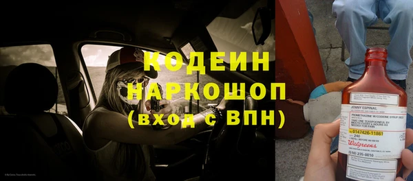 гидра Абаза