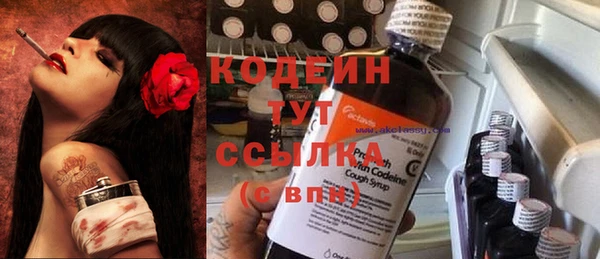 гидра Абаза