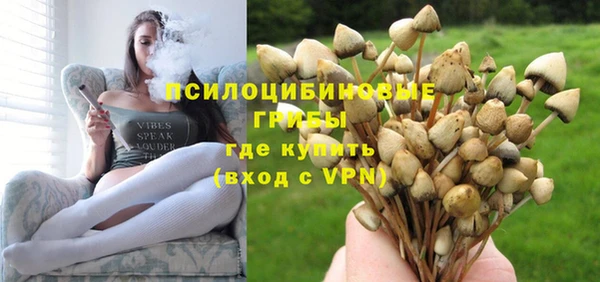 гидра Абаза