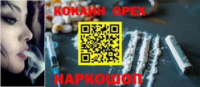 индика Шелехов