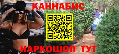 индика Шелехов