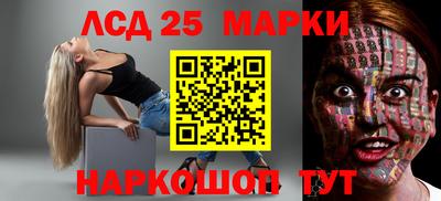 индика Шелехов