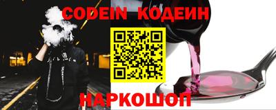 индика Шелехов