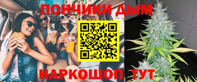 индика Шелехов