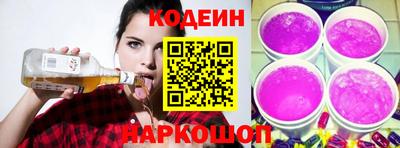 индика Шелехов