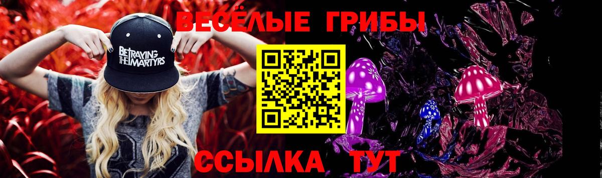 Псилоцибиновые грибы Psilocybine cubensis  Вход с VPN  Азнакаево 